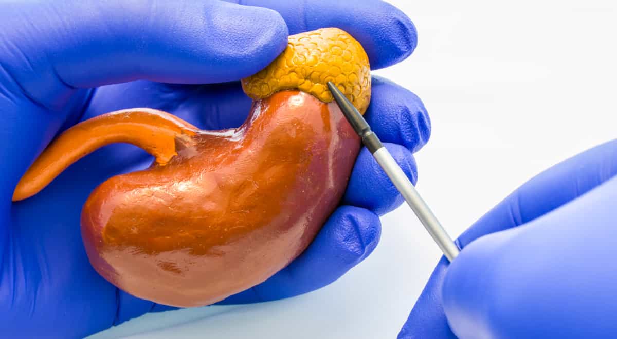 Tutto sul surrene. Fisiopatologia, clinica, diagnostica e terapia 